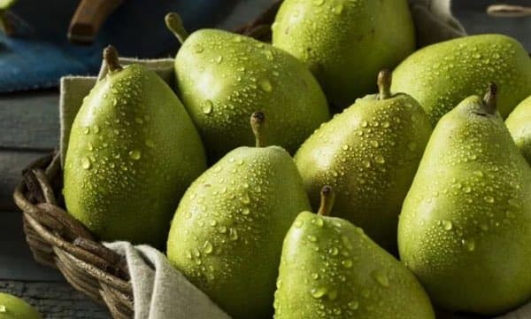 Armut Diğer ürün görseli