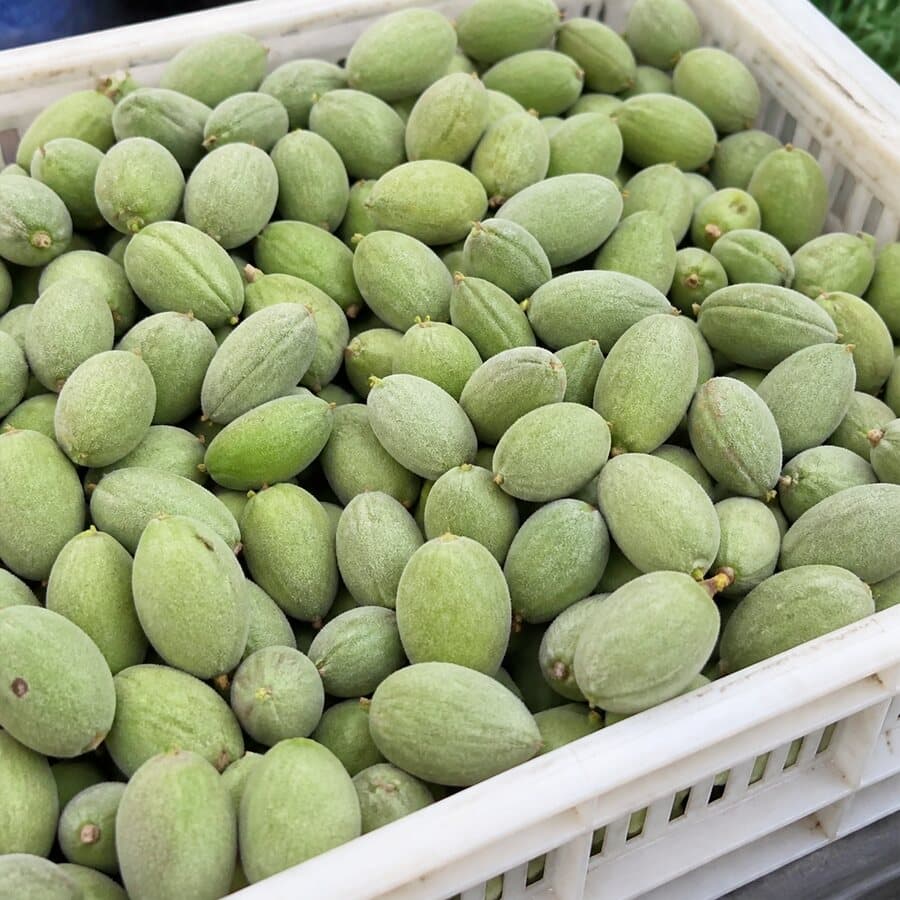 Çağla ürün görseli