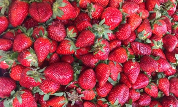 Reçel ve Marmelat Rehberi ürün görseli