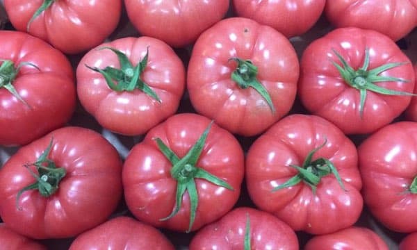 Domates (Pembe) ürün görseli